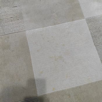 Halı Yıkama Hizmetinde Beklenmedik Sorunlar