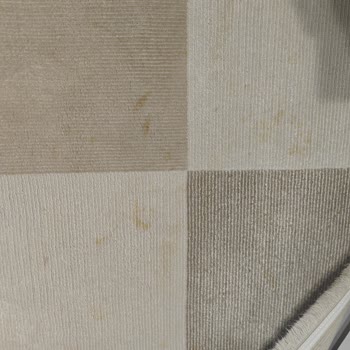 Halı Yıkama Hizmetinde Beklenmedik Sorunlar