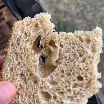 BİM Marketin Çok Tahıllı Ekmecik Ekmeğinde Plastik Cisim Şoku