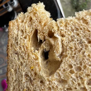 BİM Marketin Çok Tahıllı Ekmecik Ekmeğinde Plastik Cisim Şoku