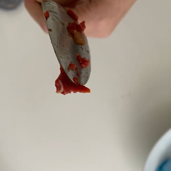 Tamek Salçada Şok Edici Kurt Problemi