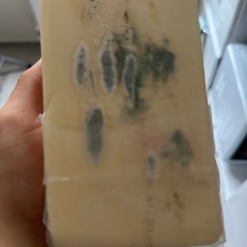 Küflenen Kaşar Peyniri Sorunu