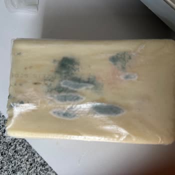 Küflenen Kaşar Peyniri Sorunu