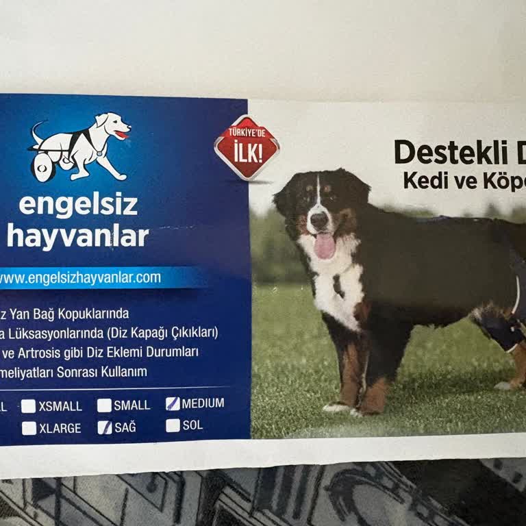Engelsizhayvanlar.com Büyük Aldatmaca