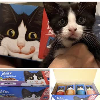 Ürün Gönderiminde Sorun Ve İletişim Engeli