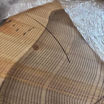 Enza Home'dan Kırık Ürün Ve İlgisiz Müşteri Hizmetleri