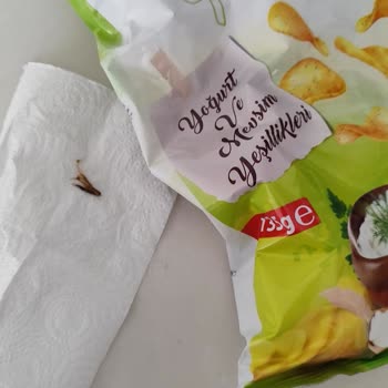 Cipsten Çıkan Şok: Güven Sarsan Deneyim