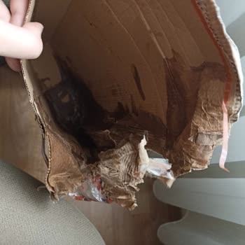 Amazon'dan Gelen Hayal Kırıklığı: Dağınık Ve Özensiz Paketleme