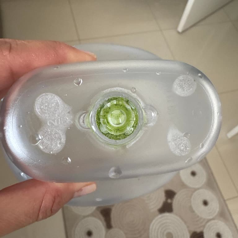 Brita Sürahim Yosun Tutuyor Ve Temizlenmiyor