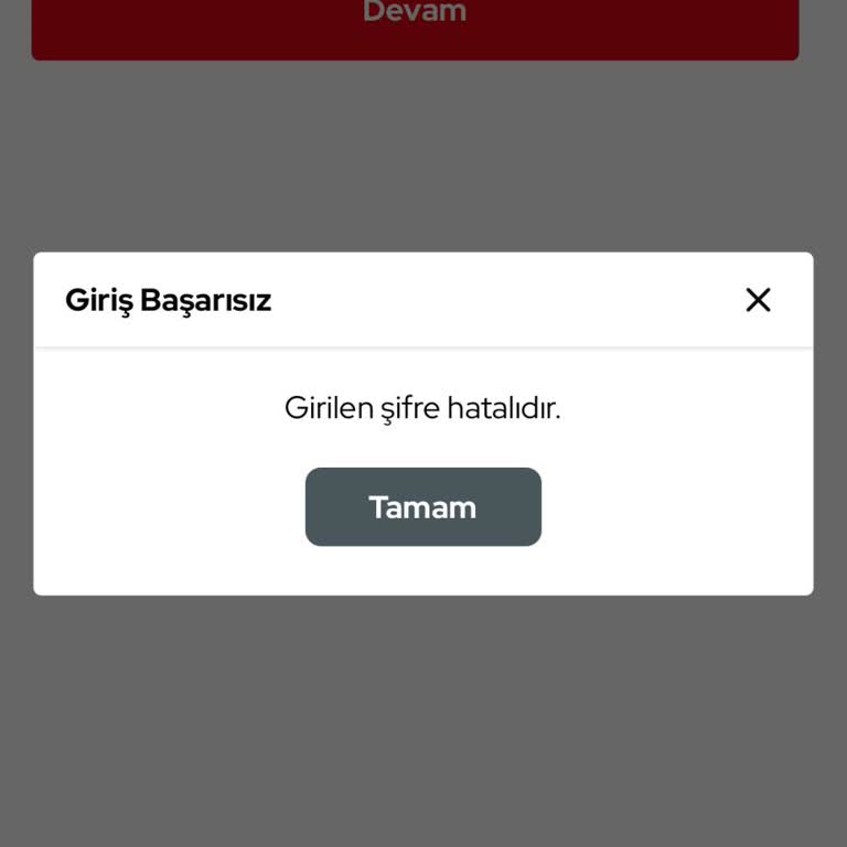 ZBorsa Hesabına Erişim Sorunu Ve Güvenlik Endişesi