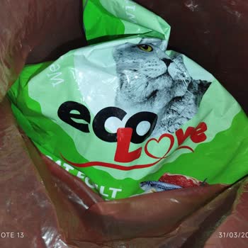 Kediler İçin Uygun Olmayan Mama Deneyimi