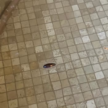 Rolling House Sapanca'da Hayal Kırıklığı: Soğuk Havuz Ve Kirli Jakuzi!