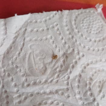 Uno Ekmek İçinden Taş Çıktı: Şaşkınlık Ve Beklenti