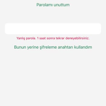 WhatsApp Giriş Sorunu Ve Şifre Karmaşası