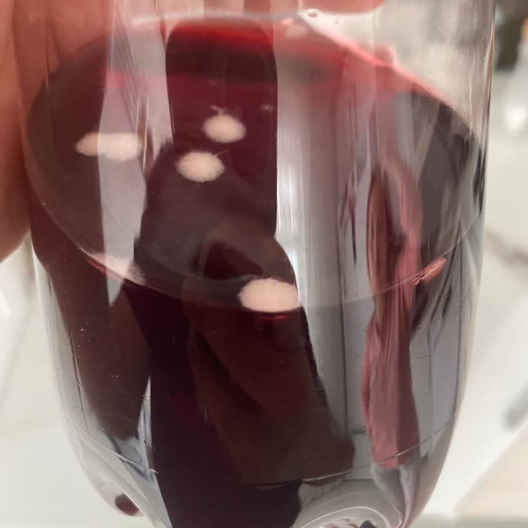 Cappy Ramazan Şerbetinde Beklenmedik Tortular Ve Tüyler