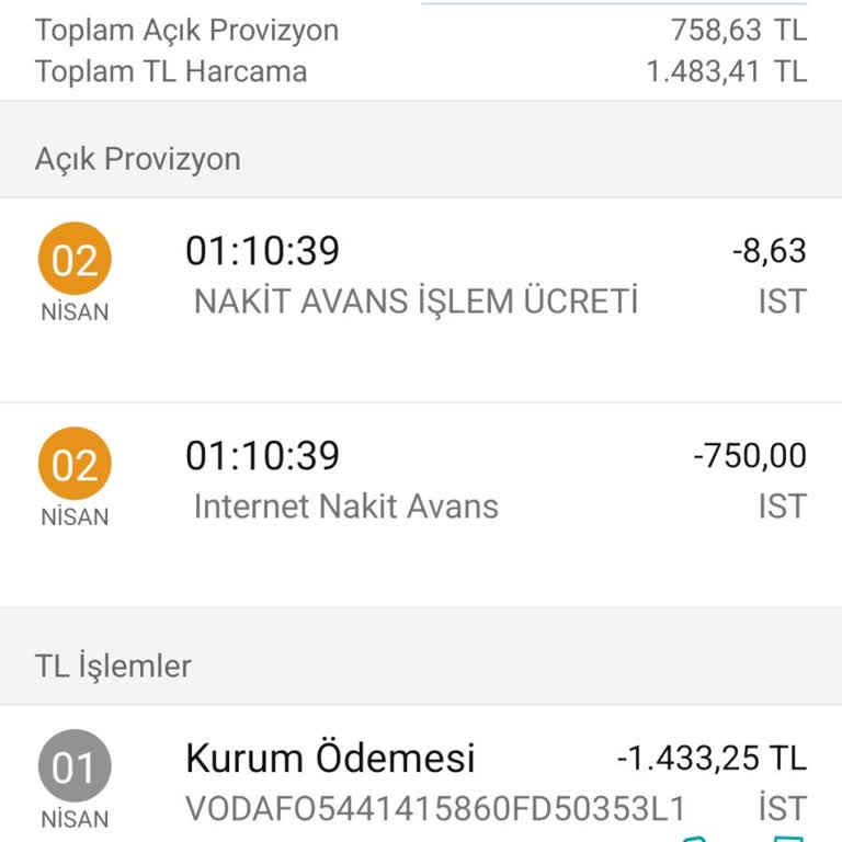 Kredi Kartı Bakiye Sorunu Ve Kaybolan Tutar
