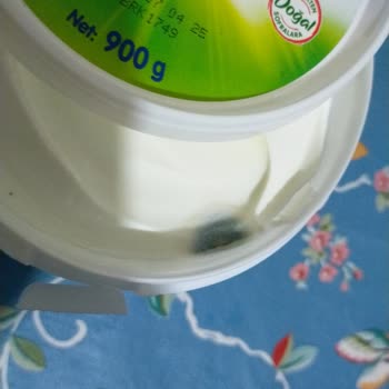 Tarihi Geçmemiş Yoğurtta Küf Problemi