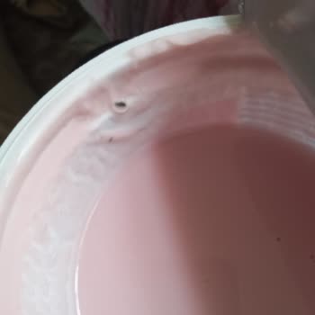 Küflü Ürün Şoku: Çocuğumun Sağlığı Tehlikede!