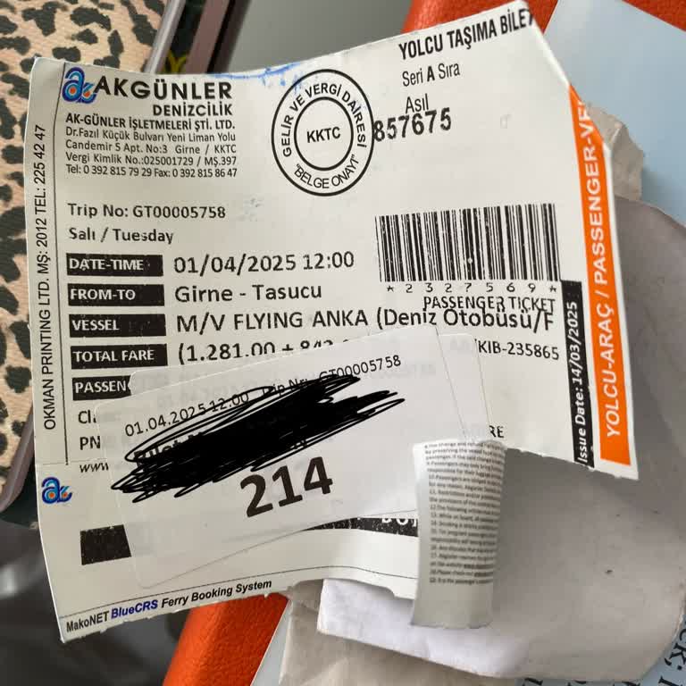 Tehlikeli Feribot Yolculuğu: Can Pazarı Ve Sorumsuzluk