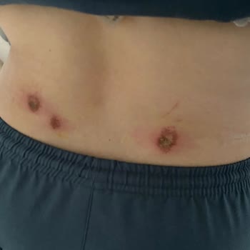 Hvit Vera Nişan Günümde Hayal Kırıklığı Yaşadım