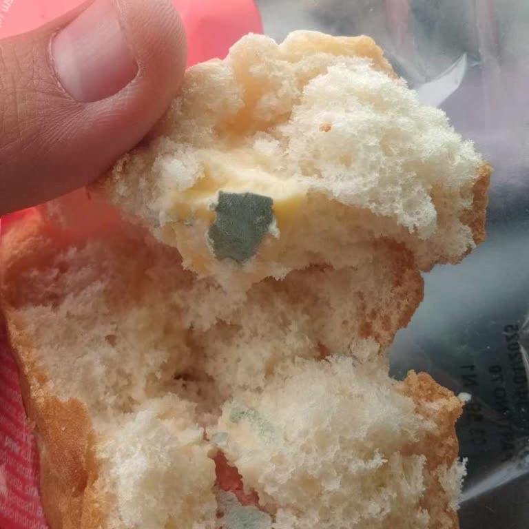 A101 Küflü Sandviç Skandalı: Sağlığımız Tehlikede