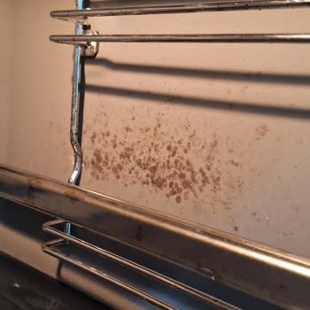 Bosch Fırın: Yanlış Tanıtım Ve Çözüm Eksikliği