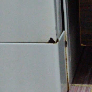 Beko Bulaşık Makinesi Paslanma Sorunu Ve Garanti Süreci