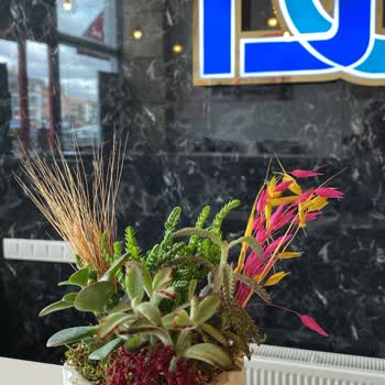 Hayal Kırıklığı Yaratan Teraryum Siparişi