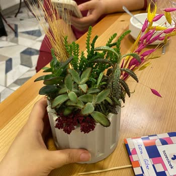 Hayal Kırıklığı Yaratan Teraryum Siparişi