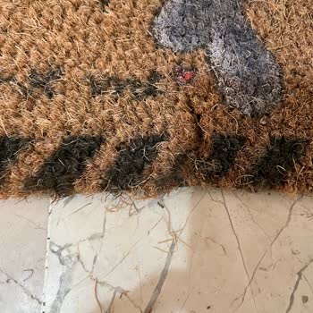 Paspasın Erken Yırtılması Ve İletişim Sorunu