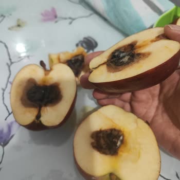 Çürük Elmalarla Karşılaşma