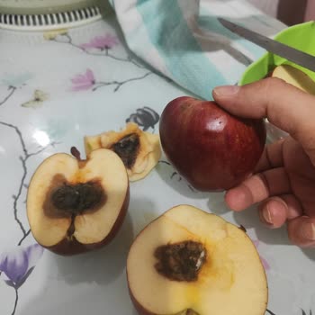 Çürük Elmalarla Karşılaşma