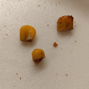 AVM'de Yetersiz Hizmet Ve Kalitesiz Yemek Deneyimi