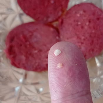 Sucuklarda Kemik Kırıntıları Ve İletişim Sorunu