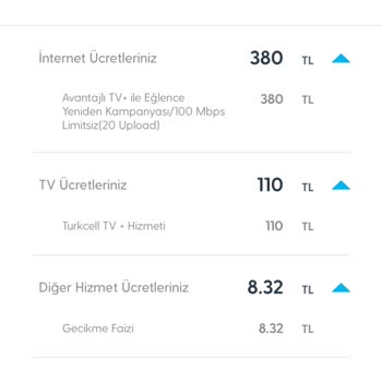 Fatura Tutarındaki Beklenmedik Artışlar