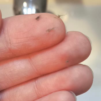 Cilt Bakım Ürünlerinde Toz Kalıntısı Sorunu