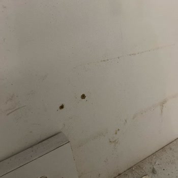 Mobilya Siparişinde Büyük Hayal Kırıklığı