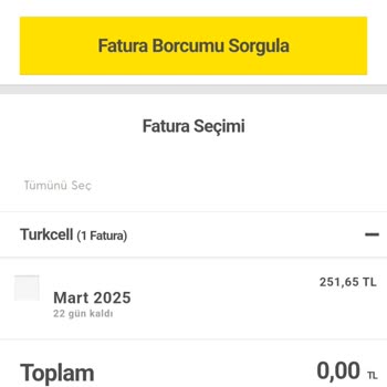 Fatura Güncellemesi Sorunu