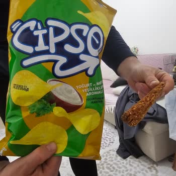 Cipso Cipslerinde Denetim Eksikliği Ve Sağlık Riski