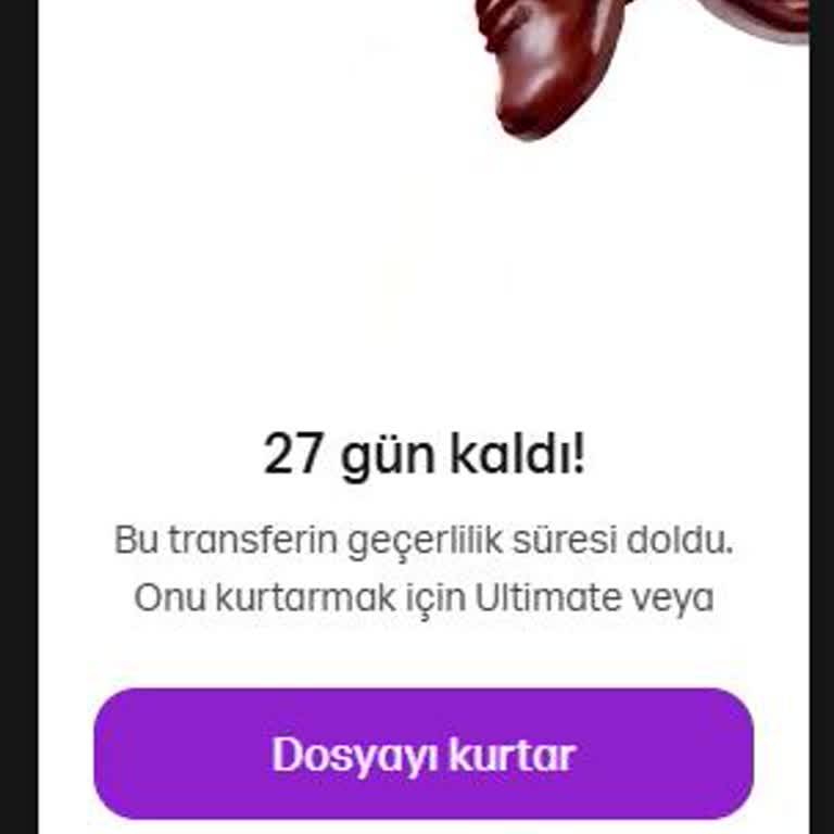 Destek Taleplerine Yanıt Alınamıyor Ve Hizmet Kullanılamıyor