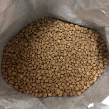 Farmina - N&D Mama Yanlış Boyutlu Kedi Maması Ve İletişimsizlik Sorunu