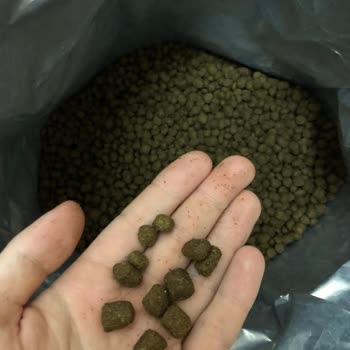 Farmina - N&D Mama Yanlış Boyutlu Kedi Maması Ve İletişimsizlik Sorunu