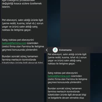 Farmina - N&D Mama Yanlış Boyutlu Kedi Maması Ve İletişimsizlik Sorunu