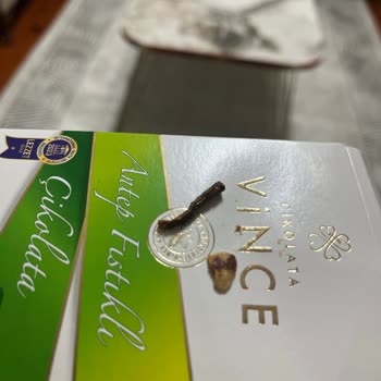 Vince Çikolata Şikayeti