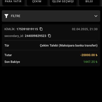 Maximus Net'te Yaşadığım Hayal Kırıklığı