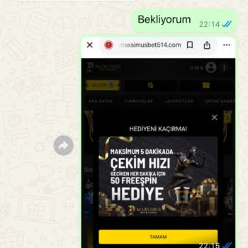Maximus Net'te Yaşadığım Hayal Kırıklığı