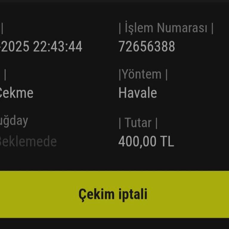 Hızlı Yatırım, Yavaş Çekim: Oyun Sitesinde Para Çekme Sorunu