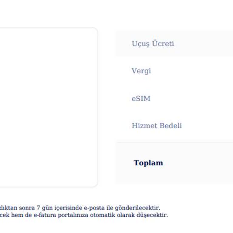 Uçuş Vergilerindeki Anlamsız Yükseklik