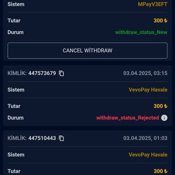 Bayconticasino Ödeme Sorunu Ve Canlı Destek Davranışları Hakkında Şikayet