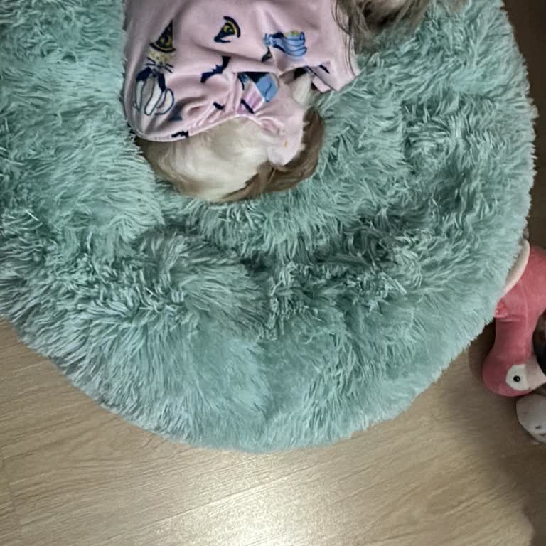 Hayvan Dostu Olmayan Tutum Ve Sürekli Değişen Kurallar